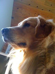 Ronan